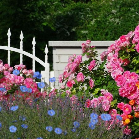 House Magnolia Lejlighed Velence Eksteriør billede